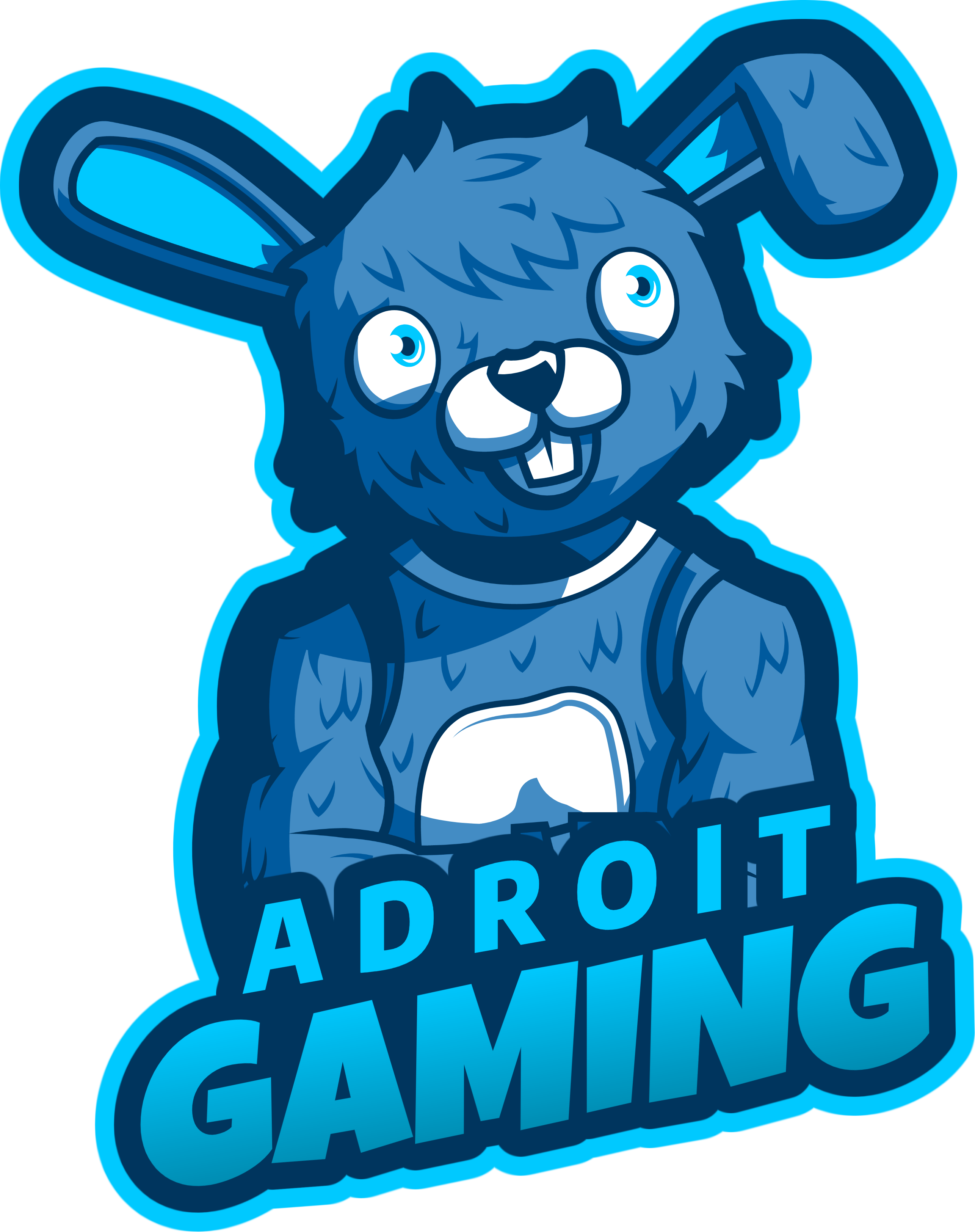 Adroit Gaming